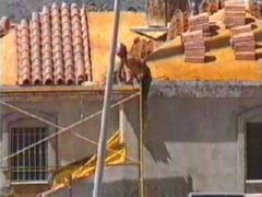 obra (717) SEGURIDAD y SALUD en CONSTRUCCION